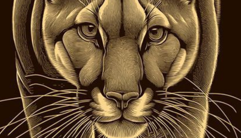 Tippicture of the Day: The Kaggie Panther.